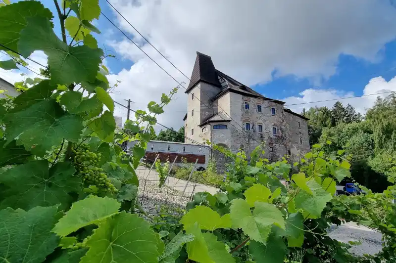 Vildštejn