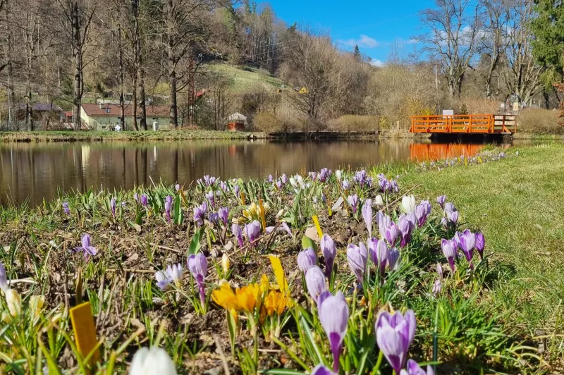 Bečovská botanická zahrada