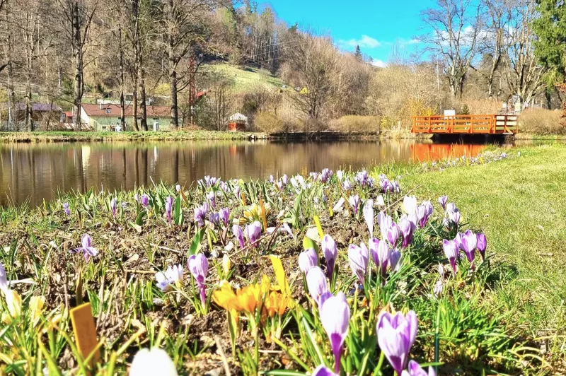 Bečovská botanická zahrada