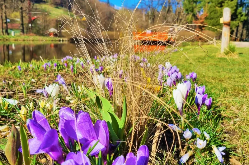 Bečovská botanická zahrada