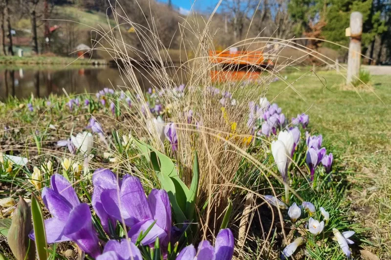 Bečovská botanická zahrada