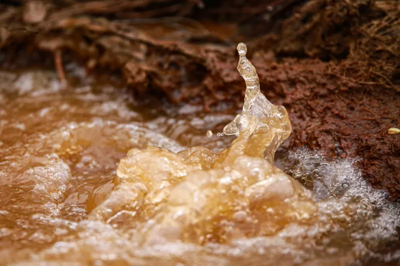 Národní přírodní rezervace Soos