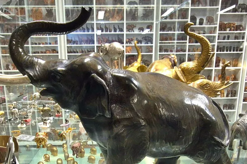 Muzeum slonů