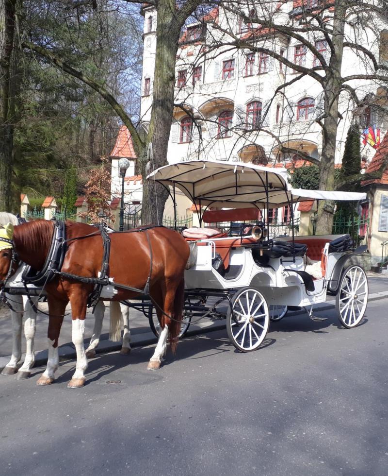 Kočárová doprava Karlovy Vary